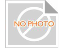 Latest company Solutions about How To Ensure The Safety Of Bailey Bridge Pier During Use?